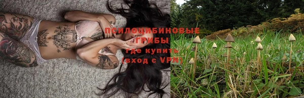 герыч Аркадак