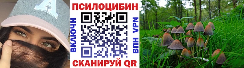 дарнет шоп  Спасск  Псилоцибиновые грибы MAGIC MUSHROOMS 